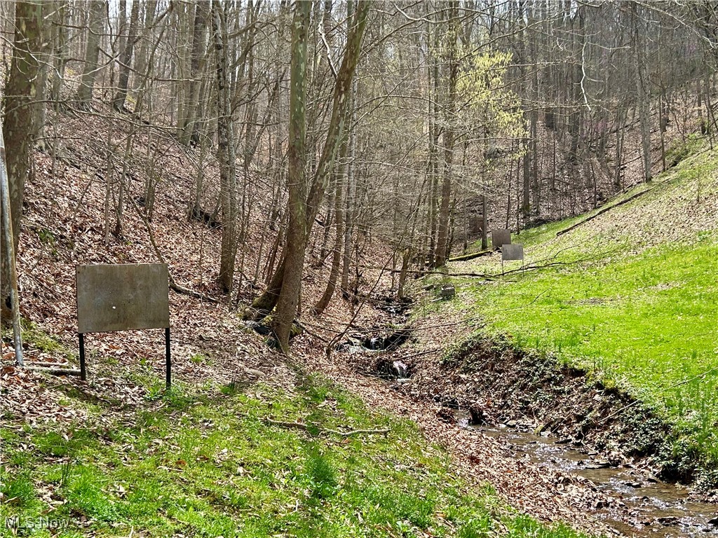 1810 Grannies Creek Crk, Newton, West Virginia image 25