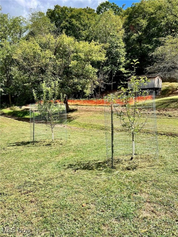 1810 Grannies Creek Crk, Newton, West Virginia image 17
