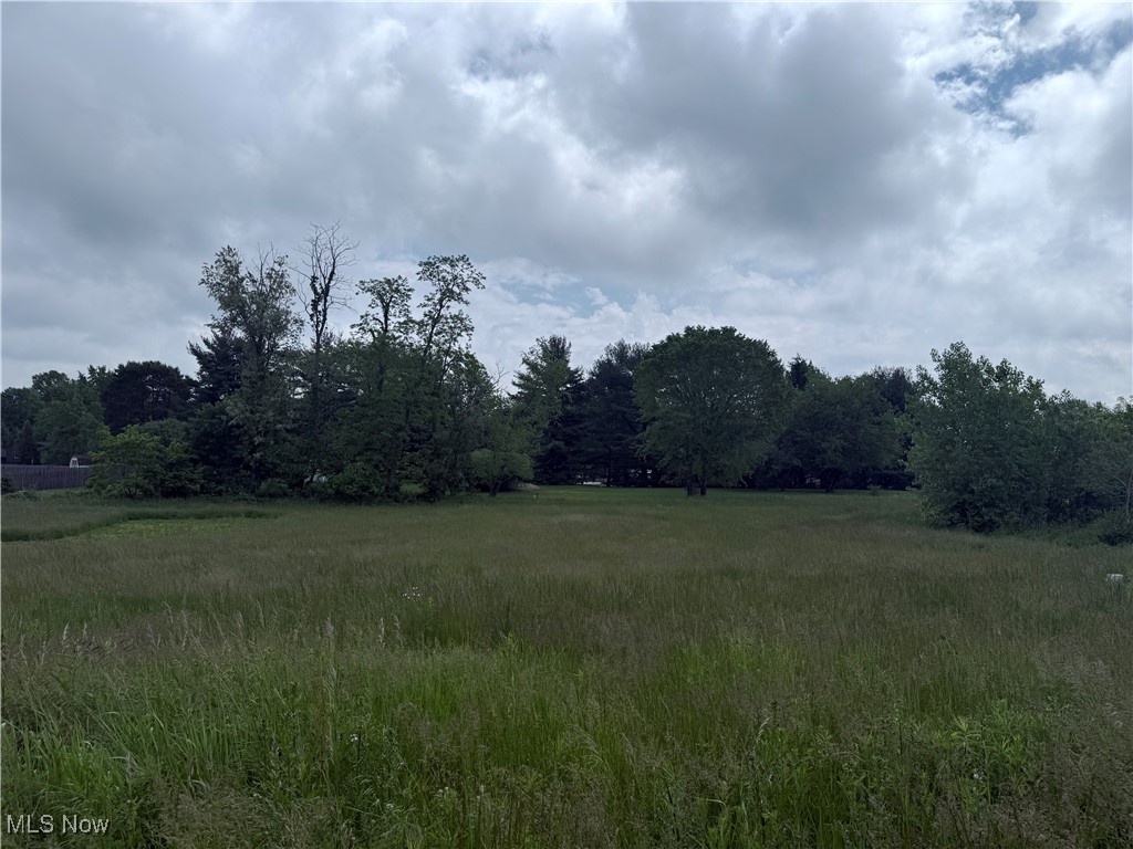 Parcel to be sold with 10554, 10588 & 10606 Cleveland Ave at public auction.
View aerial video here: https://youtu.be/VoJkI6lfrd4
Auction start date is June 25, 2025 and ends July 20, 2025 @ 5:30 p.m.
Prime Residential & Commercial Land for Auction | Uniontown, Stark County, OH
Cleveland Ave NW & Wright Road NW – High-Traffic, High-Visibility Opportunity!
Seize the opportunity to invest in strategically located parcels at the bustling intersection of Cleveland Avenue NW and Wright Road NW in Uniontown, Ohio. With zoning flexibility, all public utilities available, and excellent visibility, these properties are ideal for both residential builders and commercial developers.
Whether you're planning to build a neighborhood clinic, a retail storefront, or single-family homes, this site checks all the boxes.
Location Advantages
Over 11,600 vehicles per day at this intersection!
Cleveland Ave NW: 10,400 VPD
Wright Road NW: 1,276 VPD
Newbury Ave NW: 2,068 VPD
Surrounded by existing neighborhoods, businesses, and arterial access points
Close to shopping, schools, and major highways