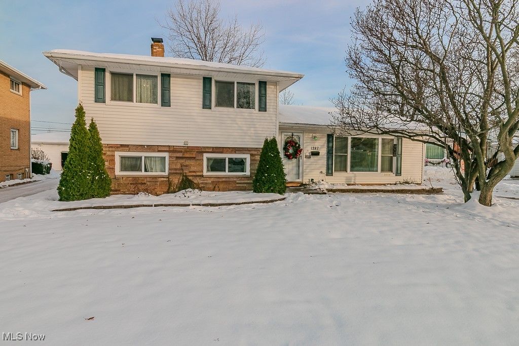 Photo of 1287 Bonnie Lane, Mayfield Heights, OH 44124 (MLS # 5176041)