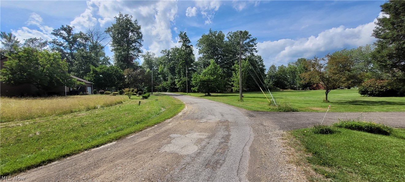 Cinnamon lake - Land