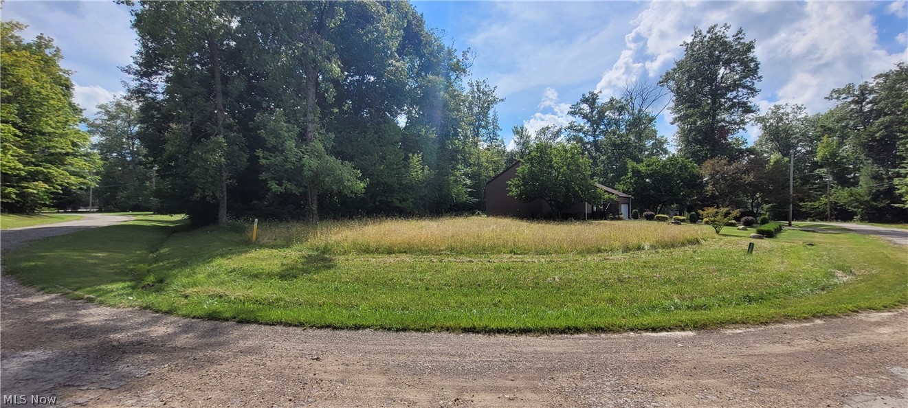 Cinnamon lake - Land