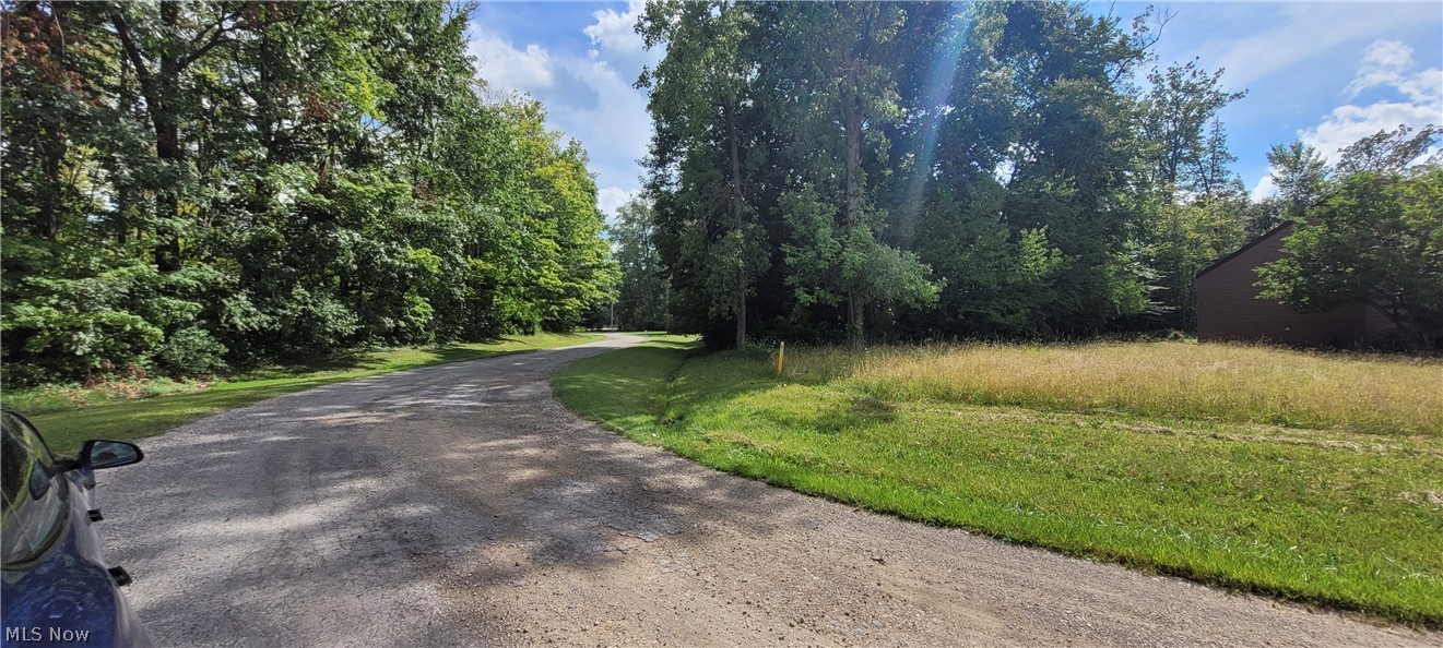 Cinnamon lake - Land