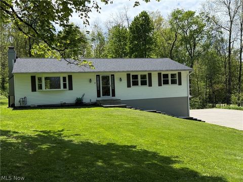 Photo of 10239 Mulberry Road, Chardon, OH 44024 (MLS # 5198829)