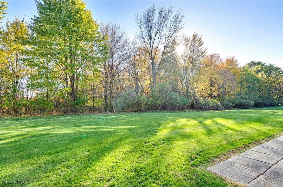 Talsman Condo - Residential