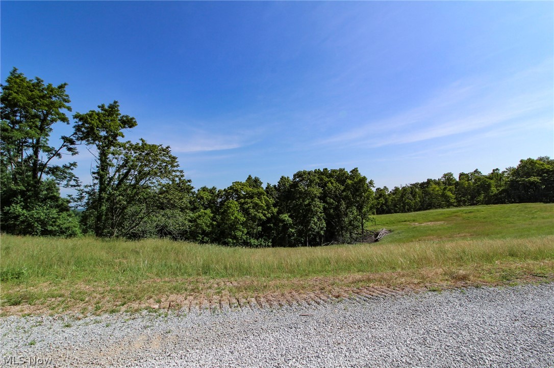 Tract 4 Happy Hollow Road, Waverly, West Virginia image 6