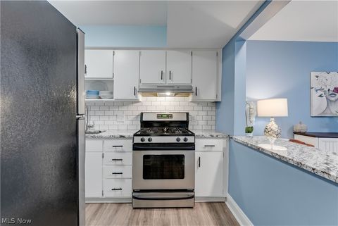 Tiny photo for 798 Pipes Court #1605, Northfield, OH 44067 (MLS # 5188115)