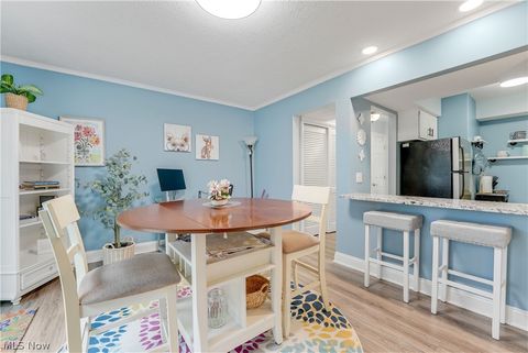 Tiny photo for 798 Pipes Court #1605, Northfield, OH 44067 (MLS # 5188115)