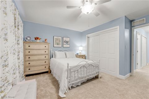 Tiny photo for 798 Pipes Court #1605, Northfield, OH 44067 (MLS # 5188115)