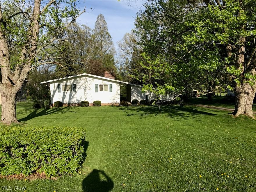 Selling as is, Cash Only beautiful back yard. Large split level open floor plan, with walk out basement. 2 Car garage much potential just needs LOVE!