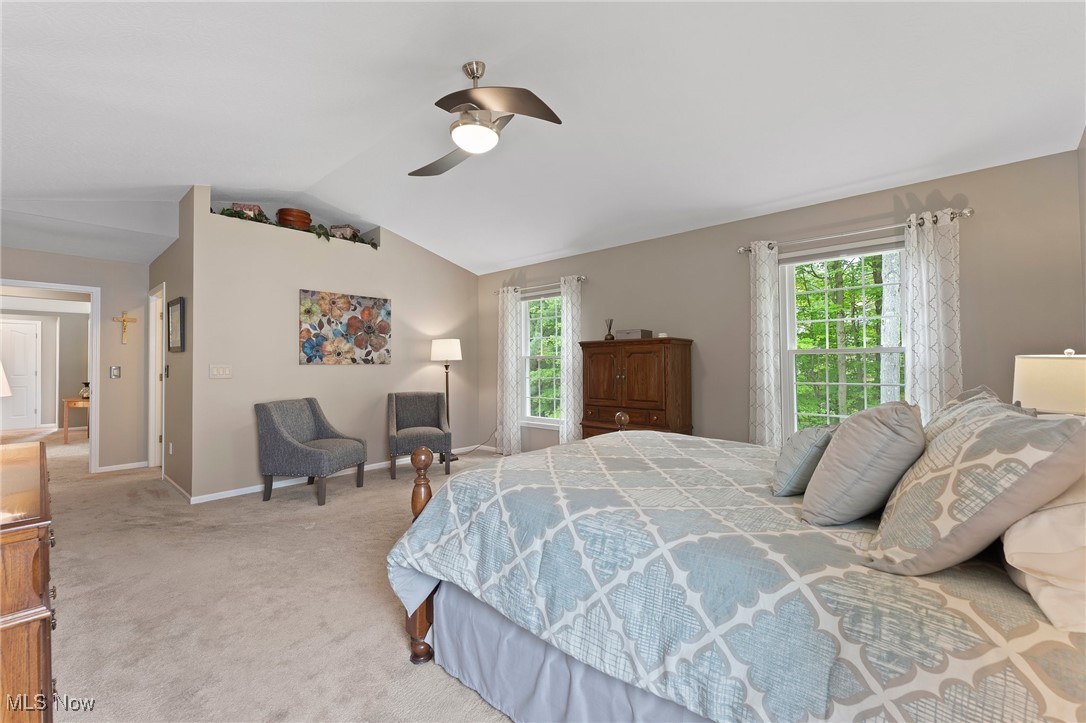 1710 Pinebark Place, Twinsburg, Ohio image 37