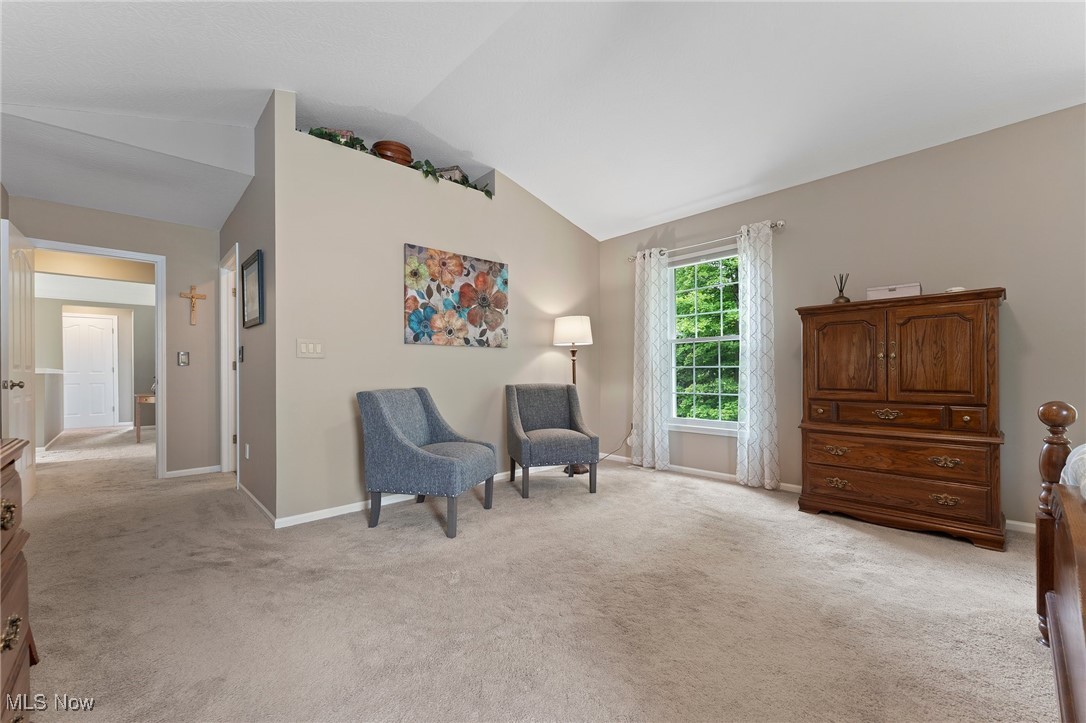 1710 Pinebark Place, Twinsburg, Ohio image 38