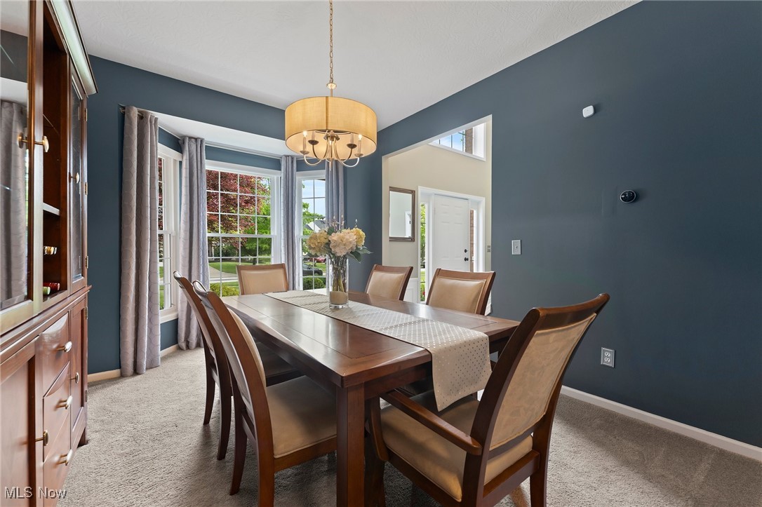 1710 Pinebark Place, Twinsburg, Ohio image 23