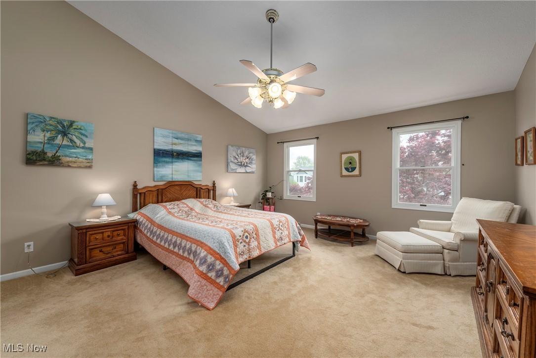 716 Southbridge Boulevard, Brunswick, Ohio image 16