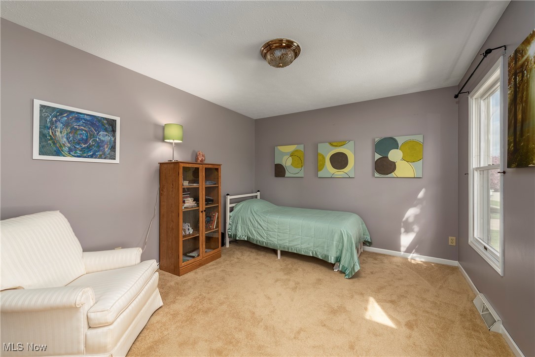 716 Southbridge Boulevard, Brunswick, Ohio image 13