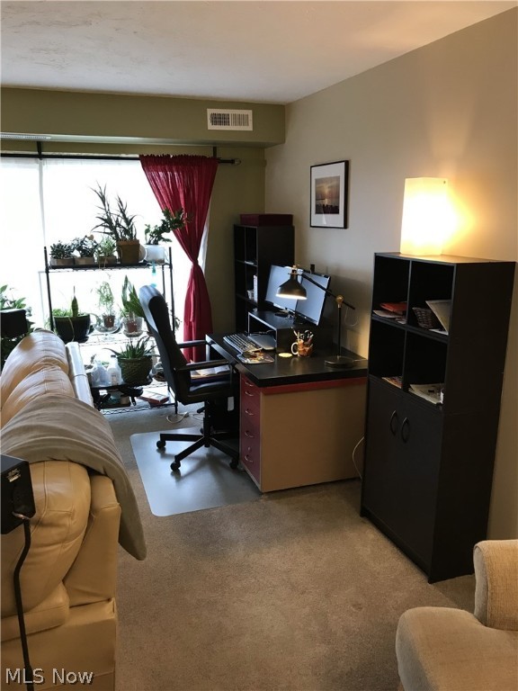 Richard Hilliard Condo - Residential