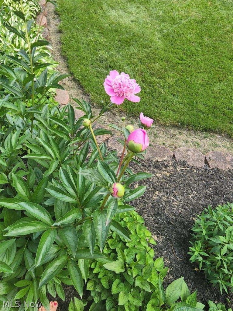 Pinegate Sub 1 - Residential