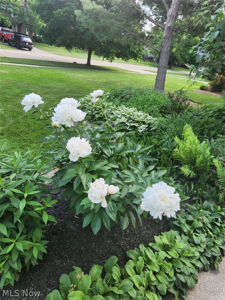 Pinegate Sub 1 - Residential