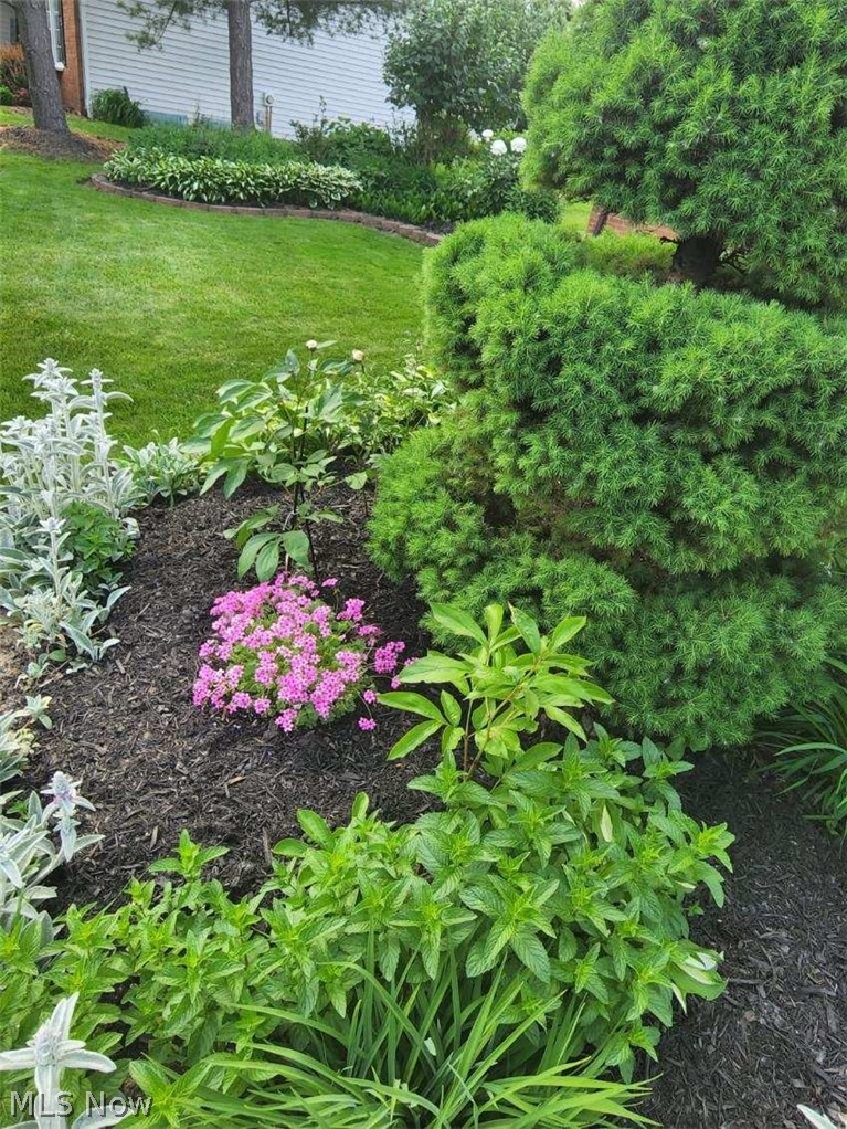 Pinegate Sub 1 - Residential