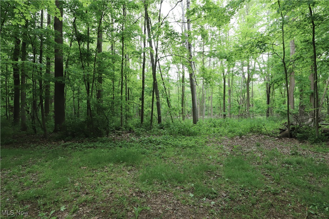 6191 Root Road, Spencer, Ohio image 20