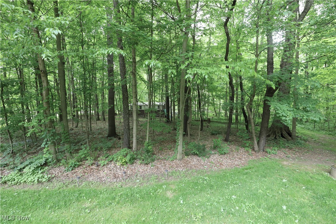 6191 Root Road, Spencer, Ohio image 19
