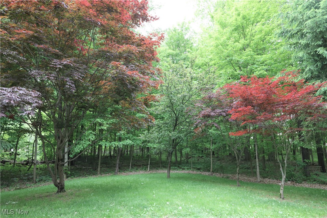 6191 Root Road, Spencer, Ohio image 18