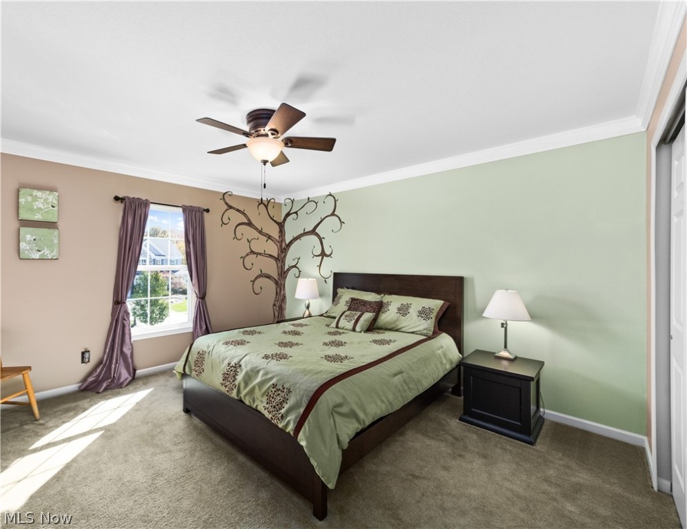 Willowbrook - Residential