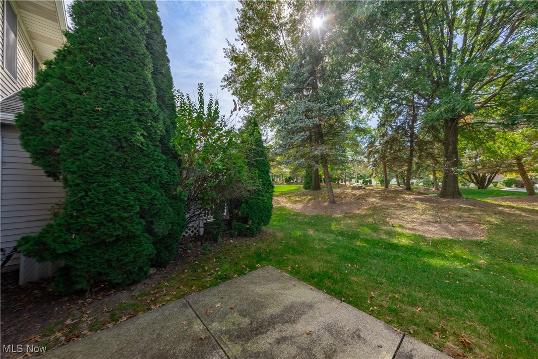 Collier Drive - Residential