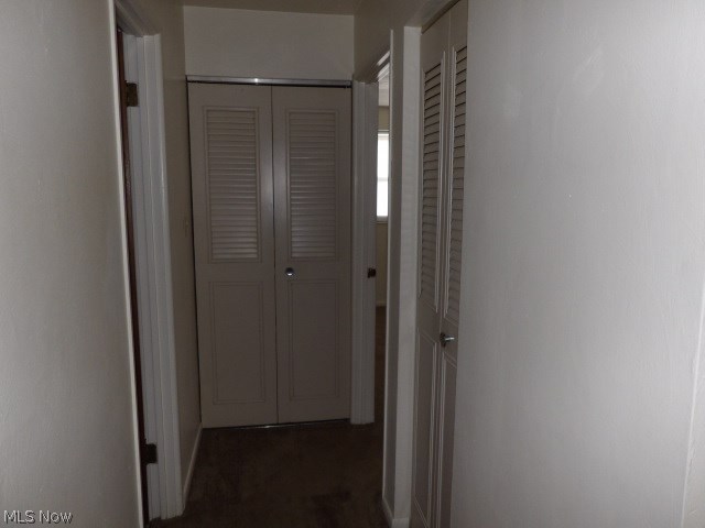 Finelli - Residential Lease