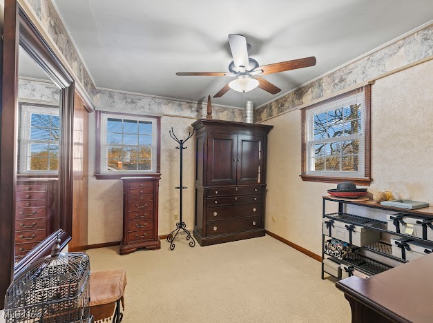 4179 Nottingham Avenue, Youngstown, Ohio image 22