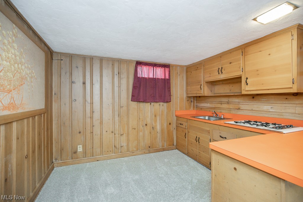 Granger Road Allotment - Residential