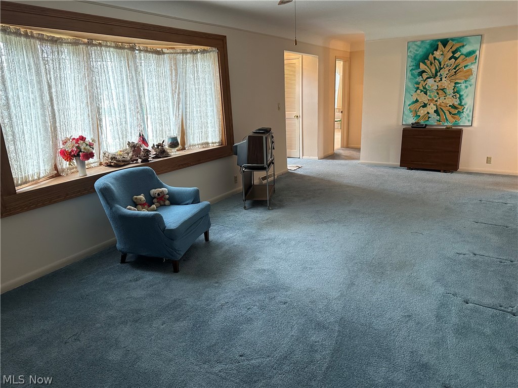 Mapledale Allotment - Residential