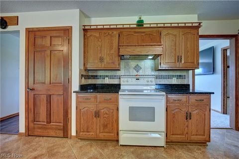 Tiny photo for 883 Basel Street, Sugarcreek, OH 44681 (MLS # 5210377)