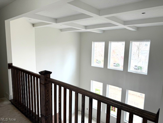 Rosemont Retreat - Residential