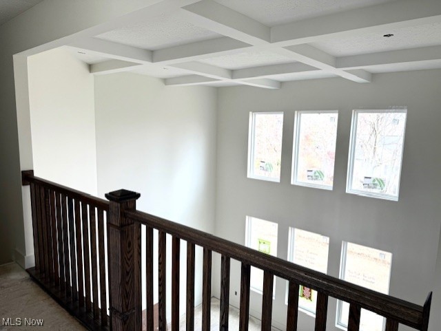 Rosemont Retreat - Residential