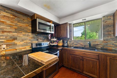 Tiny photo for 1257 Adler Street, East Liverpool, OH 43920 (MLS # 5203362)