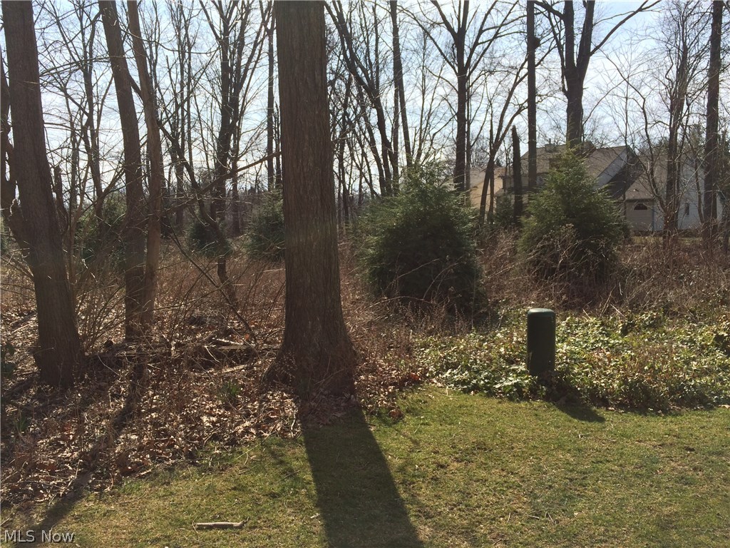 Beacon Hill Condo - Residential