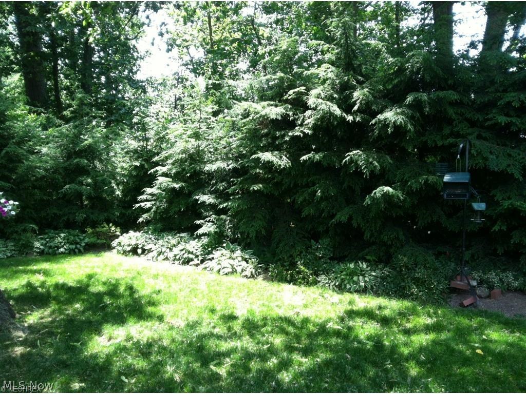 Beacon Hill Condo - Residential