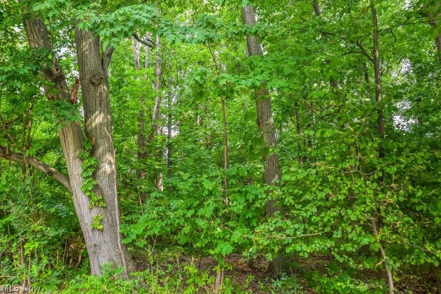 Build your dream home on this .4 acre parcel in Plain Local! Adjacent parcel #05217855 is also available for purchase.