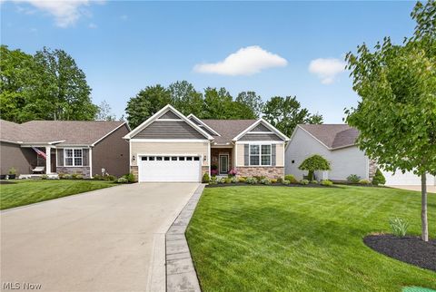 7802 Hunting Lake Drive Painesville OH 44077