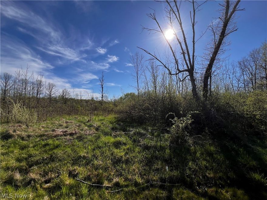 Welcome to Roaming Shores Lake Community offering this great buildable lot with great amenities, Lake access, Lakefront restaurant, clubhouse, beach, heated pool, fishing, boating, skiing, tennis courts, picnic area to all members. Minutes away from Marina, as well as Greenway Trail. This private lake community is surrounded by 550-acre man-made Lake with over 20 miles of shoreline. Come check it out!