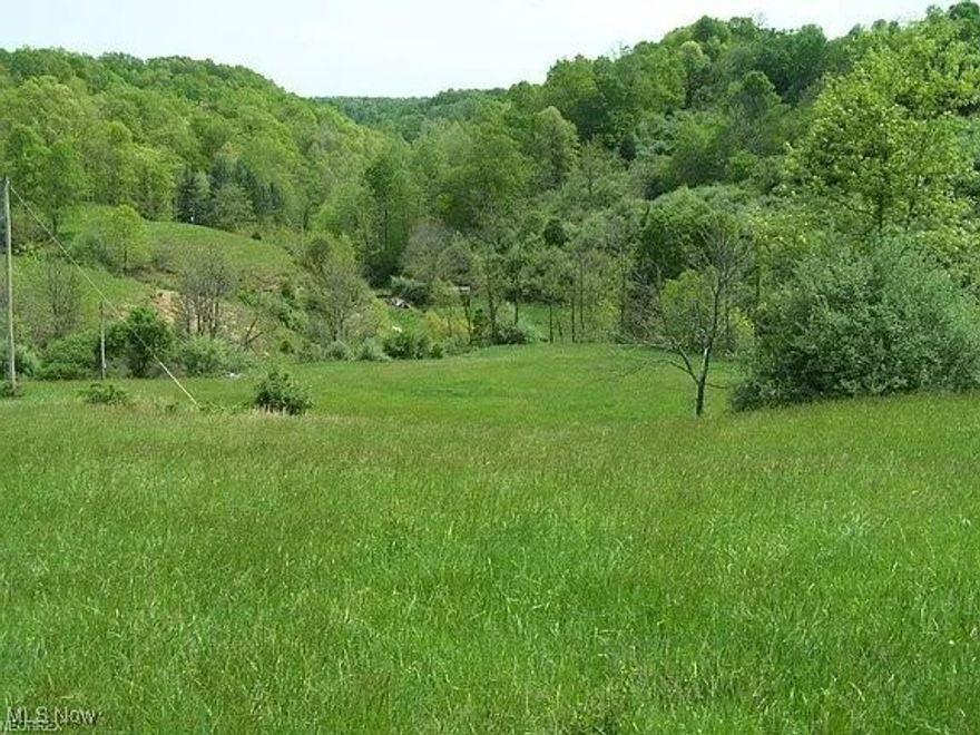 Nice private property -end of road. Locked gate for privacy. Partially fenced nice meadows for hay crops and pasture. Pond and seasonal stream. Undeveloped springs. Excellent area for your cabin/retreat. Deeded right of way for entry. If you love privacy this is it!