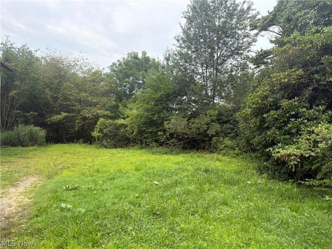Vacant Land For Sale - 710 Vine Street<br/> Kent, OH 44240