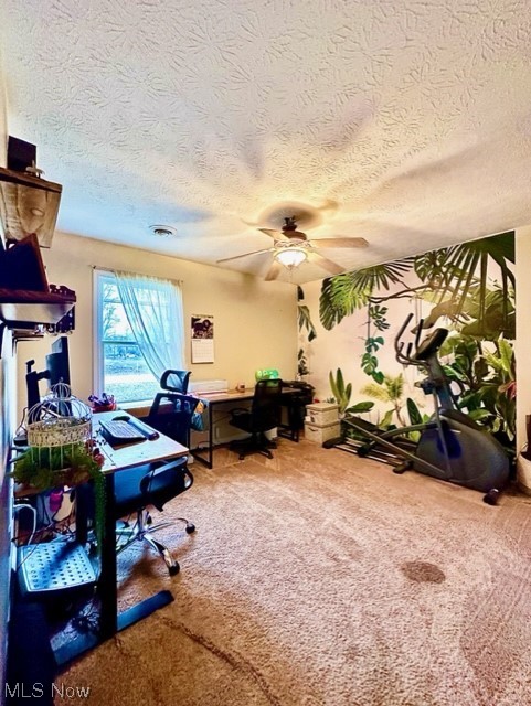 Ridgeville - Residential