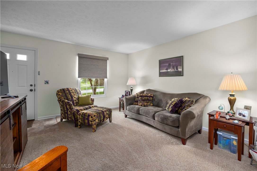 14531 Cross Creek Lane 7
