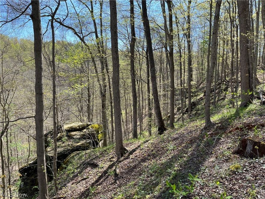 Here is your chance to own 145 +/-  acres of wooded land in beautiful Monroe County, Ohio. This property is a secluded gem and a sportsman's dream in the heart of Appalachia. The property has trails throughout and a main dirt access road that runs the ridge line.  There is a mix of hardwoods and some pockets of pine.  There are multiple ridge points that provide great views and a small stream tucked into the west side of the property.  Lots of usable and buildable land to carve out your own off grid retreat. There are remnants of the old homestead and a hand-dug stone well.  There are also some unique rock formations on the northeast side of the property.  Don't miss out on this magnificent property. Call to schedule a personal guided tour of this property today. Parcel 2 to be surveyed and split from parcels 160140020000 and 160250021000.  Seller will retain all mineral rights and royalties.