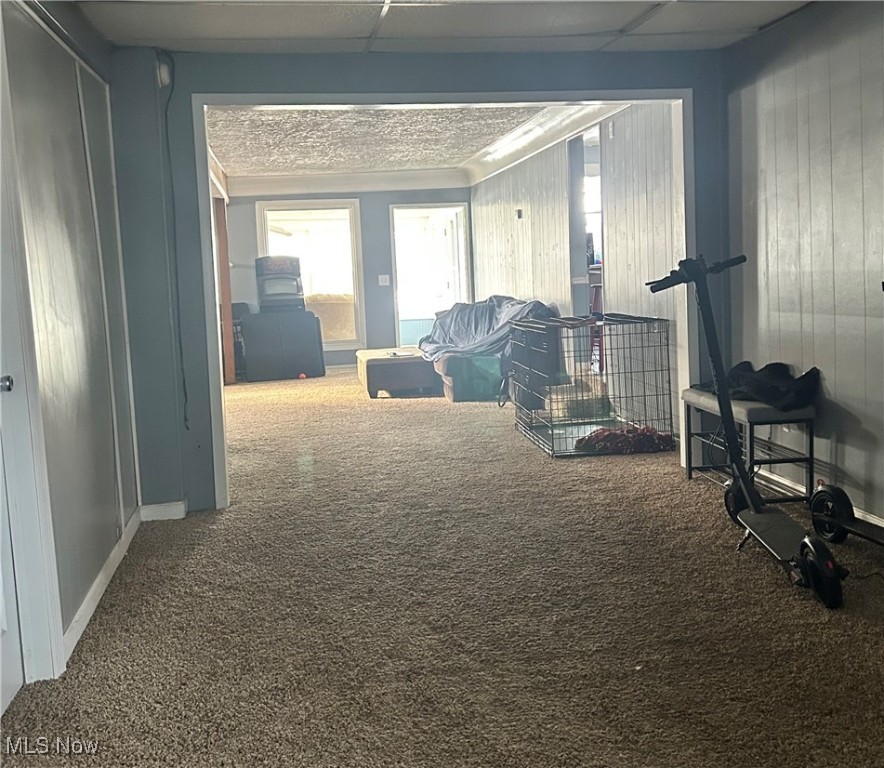 North Hill Allotment - Residential