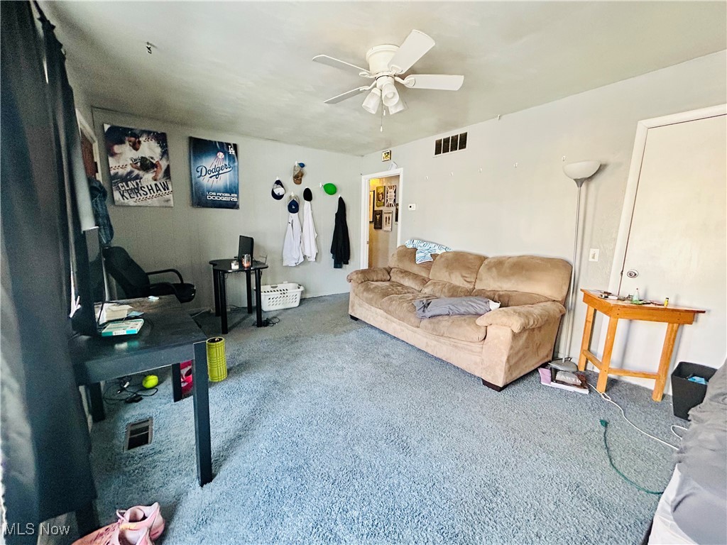 North Hill Allotment - Residential