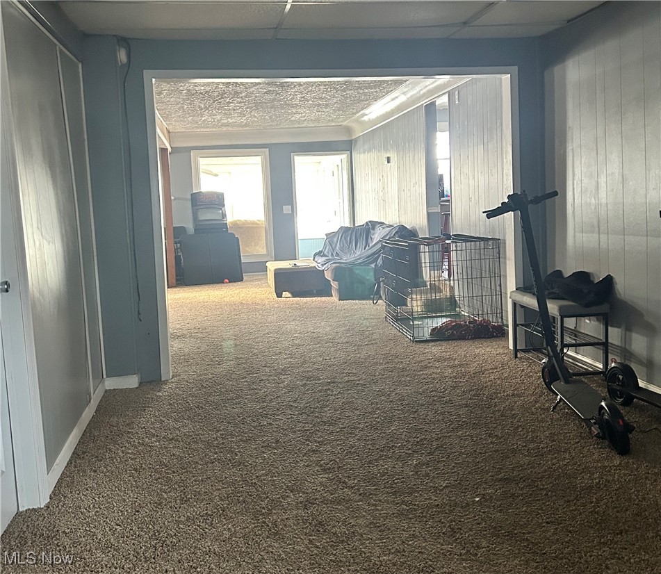 North Hill Allotment - Residential