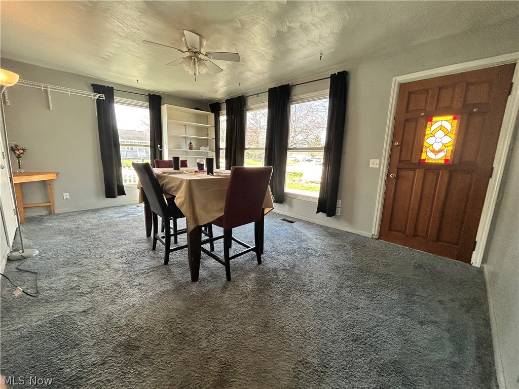 North Hill Allotment - Residential